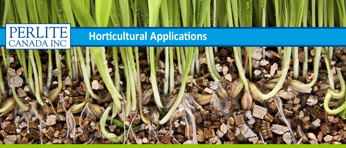 usages-horticoles-Perlite